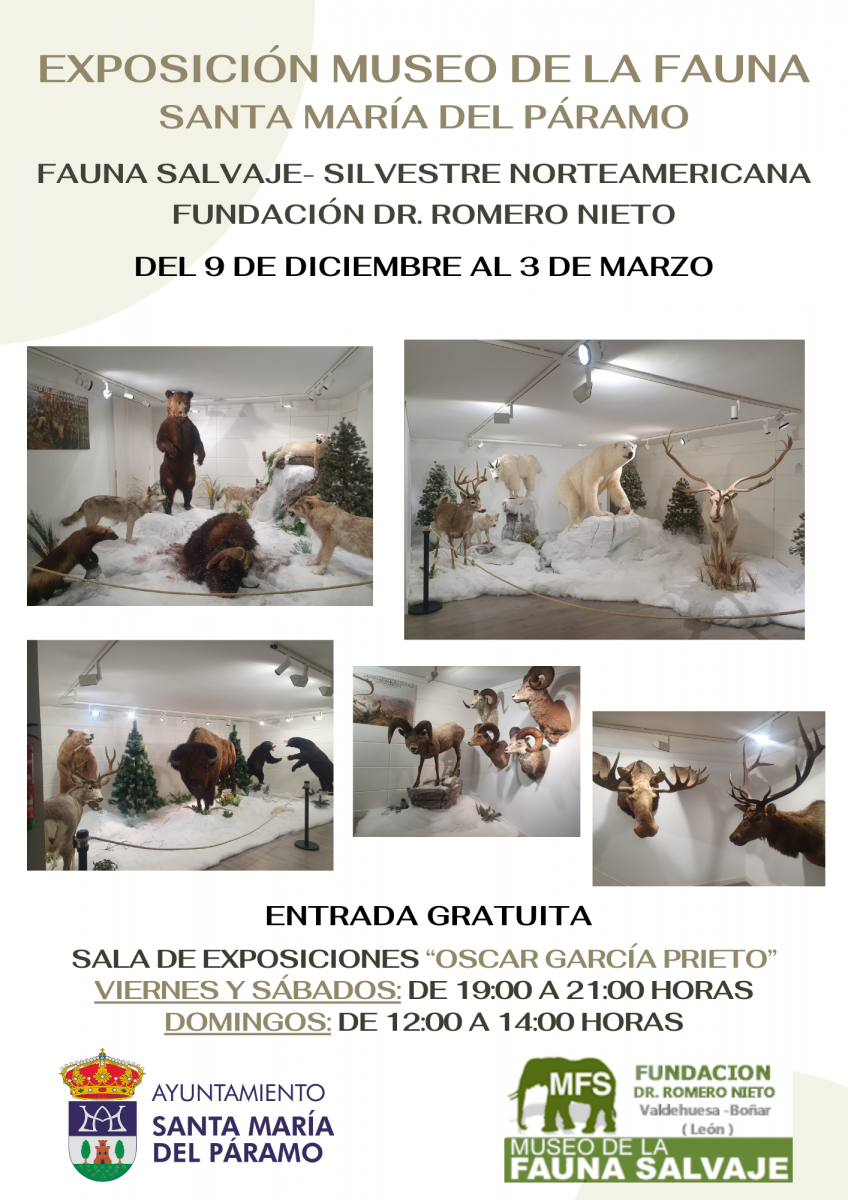 Exposición Museo de la Fauna 